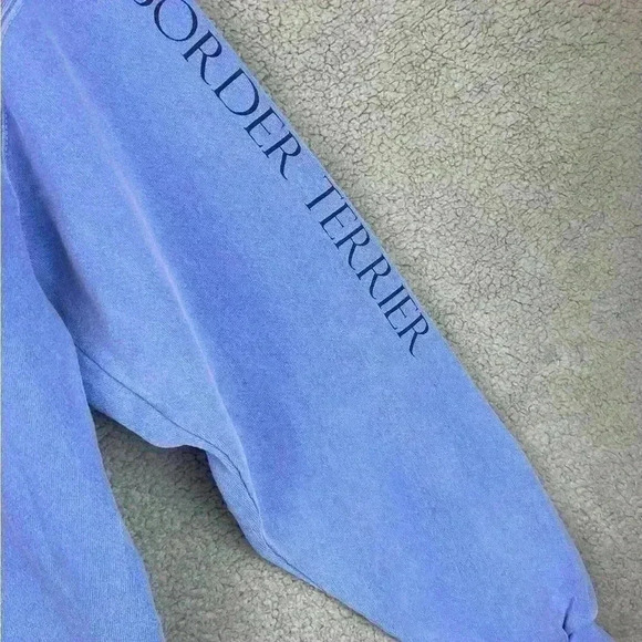 Authentic Pigment Blue Sweatshirt Size L Mens - Picture 3 of 7